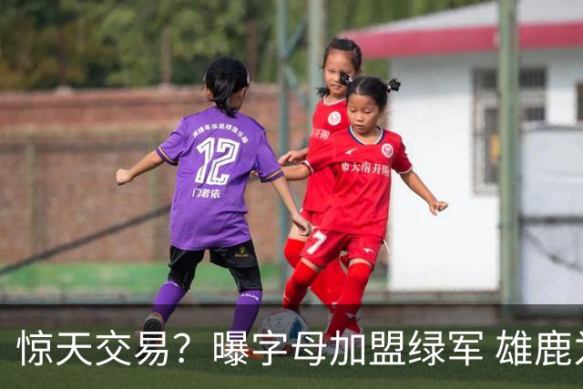 惊天交易？曝字母加盟绿军 雄鹿为布朗寻找第三方