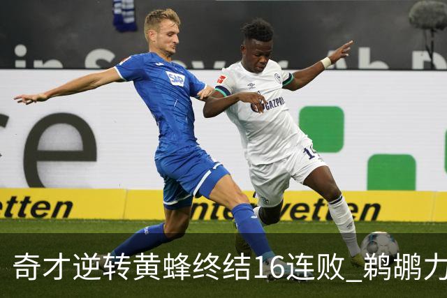奇才逆转黄蜂终结16连败 鹈鹕力克76人3连胜
